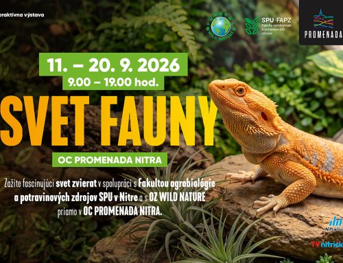 SVET FAUNY